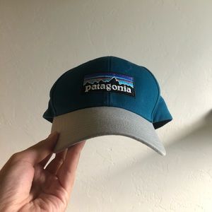 Patagonia Snapback